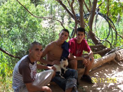 acariciendo un puto gato qe la liaba